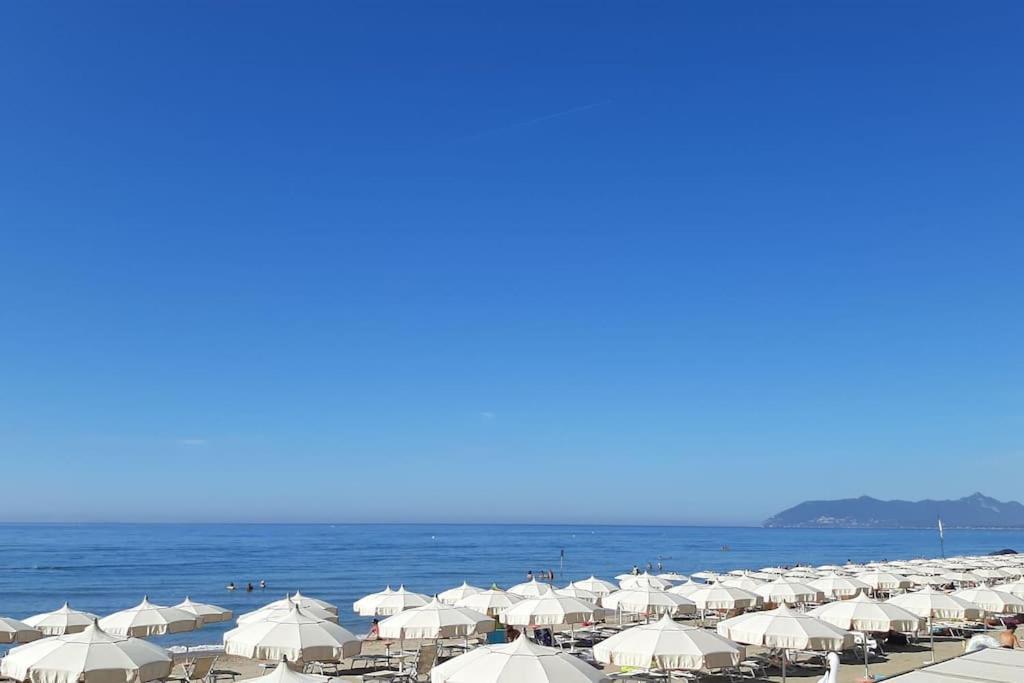 Inclanto Beach House, Mare A 150 Mt テッラチーナ エクステリア 写真